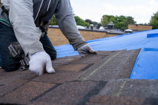 Best Local Roofing Companies  in Three Way, TN