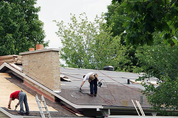 Best Storm Damage Roof Repair  in Three Way, TN