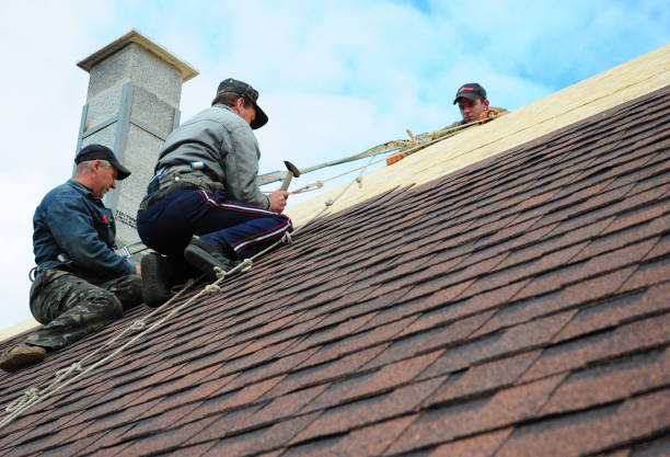 Best Roof Leak Repair  in Three Way, TN